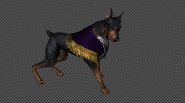 Dark Dog Die And Idle Pack 8In 1 alt