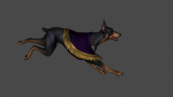 Dark Dog Run And Walk Pack 6 In 1 alt