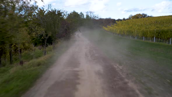Fast action dolly shot of dusty country road along vineyard in autumn.
