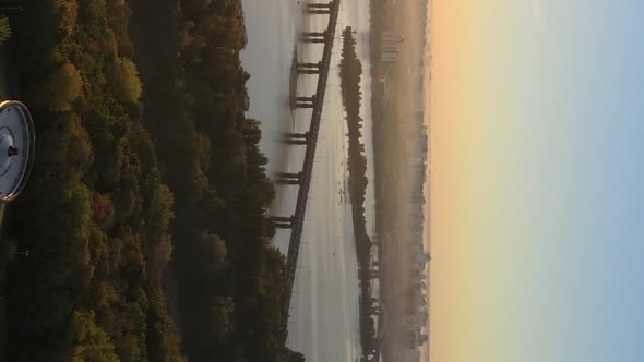 Vertical Video National Flag of Ukraine