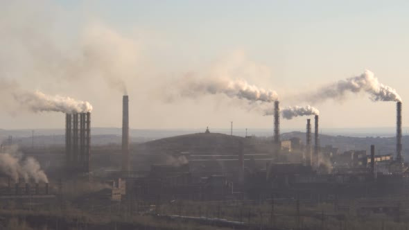 Pipes of a Large Plant Smoke Atmosphere