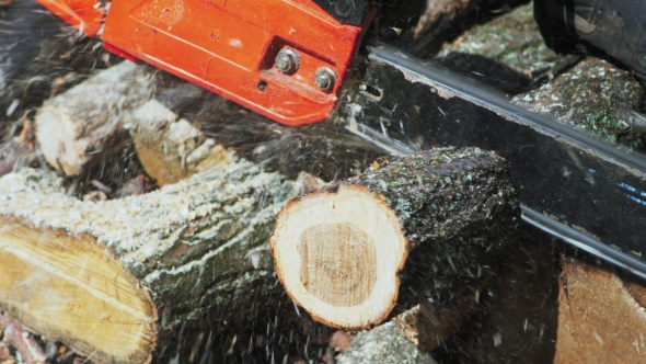 Cutting Through Wood With Chainsaw In