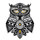 Owl Bird - GraphicRiver Item for Sale
