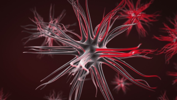 Transmission of Cell Momentum in the Body alt