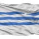 Podgorica City Isolated Waving Flag - VideoHive Item for Sale