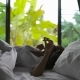 Young Woman Waking up in Bed Stretching Arms Coming to Window - VideoHive Item for Sale