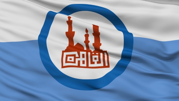 Cairo City  Waving Flag