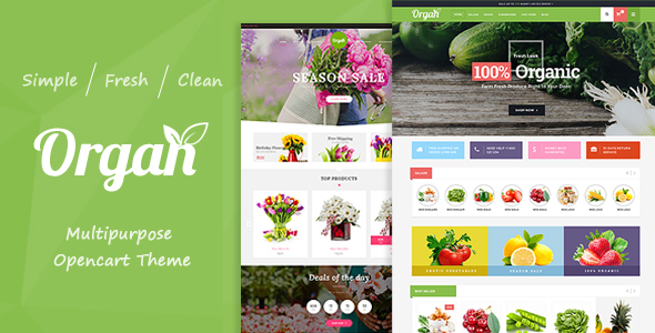 Organ - Organic Food & Flower Store ResponsiveTheme