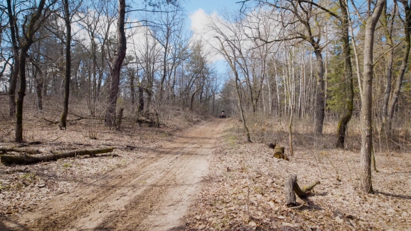 Sunny Day in the Wood. Two Riders on Quadrocycle in the Autumn Forest. Men Ride on Quad Bikes on