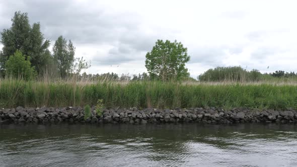 National Park Biesbosch in the Netherlands, sailing trough nature