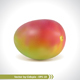 Realistic Mango Fruit Vector - GraphicRiver Item for Sale