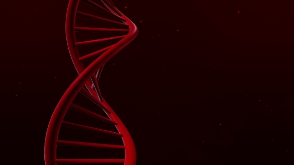 Abstract Animation of DNA alt