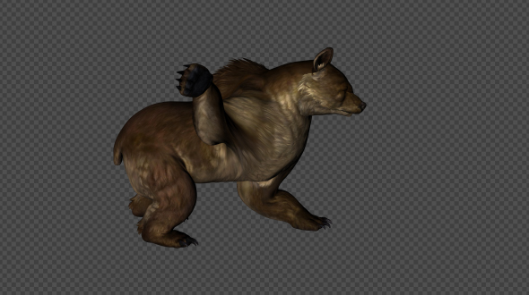 BrownBear Attack Pack 01 4 In 1 alt