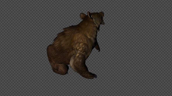 BrownBear Die Pack 4 In 1 alt