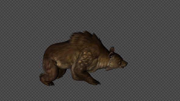 BrownBear Firing Pack 01 4 In 1 alt