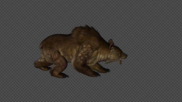 BrownBear Firing Pack 03 4 In 1 alt