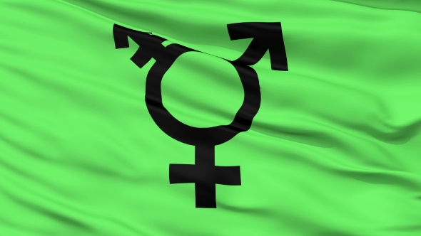 Transgender Symbol  Waving Flag