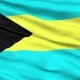 Waving National Flag of Bahamas - VideoHive Item for Sale