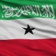 Waving National Flag of SomaliLand (Somalia) - VideoHive Item for Sale