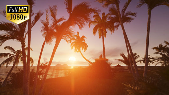 Sunrise with Palms