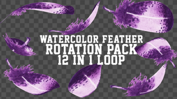 Watercolor Feather Rotation Pack 12 in 1