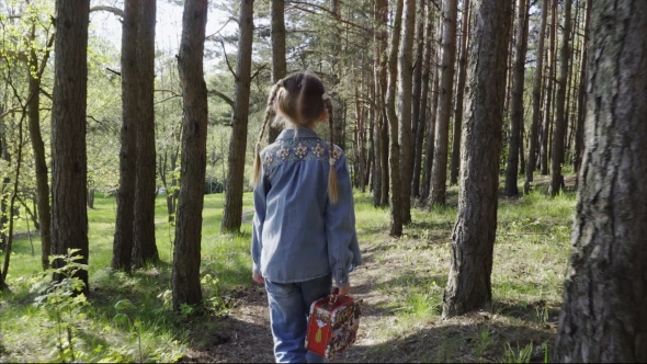 Cute Little Girl Walking in Forest with a Picnic Box
