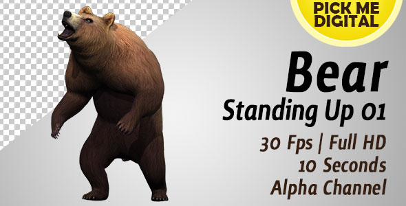 Bear Standing Up 01 alt