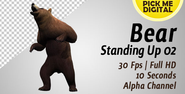 Bear Standing Up 02