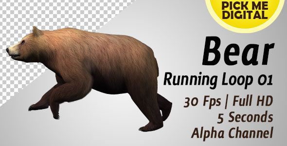 Bear Running Loop 01 alt