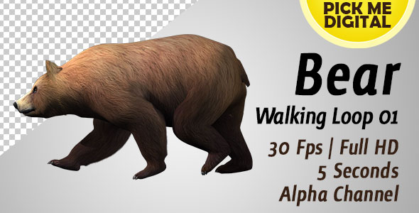 Bear Walking Loop 01
