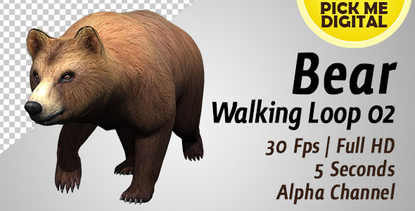 Bear Walking Loop 02