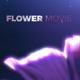 Titles Flower - VideoHive Item for Sale