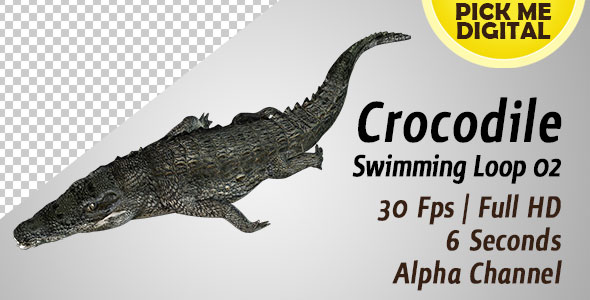 Crocodile Swimming Loop 02 alt
