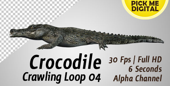 Crocodile Crawling Loop 04 alt