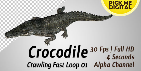 Crocodile Crawling Fast Loop 01 alt