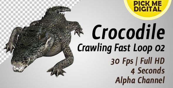 Crocodile Crawling Fast Loop 02 alt