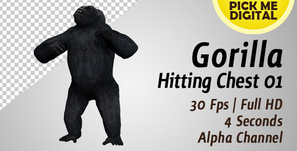 Gorilla Hitting Chest 01 alt