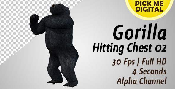 Gorilla Hitting Chest 02 alt
