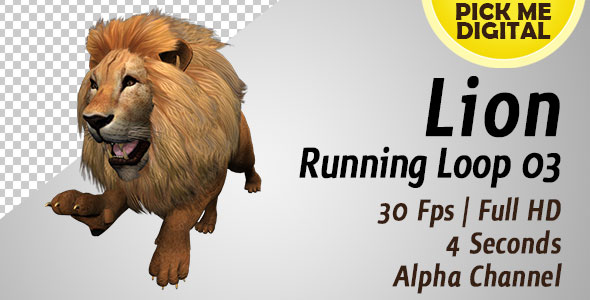 Lion Running Loop 03 alt
