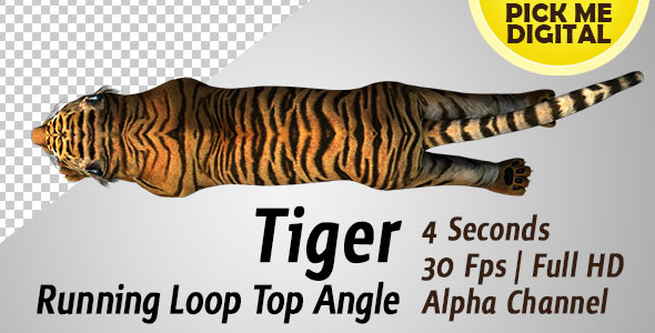 Tiger Running Loop Top Angle