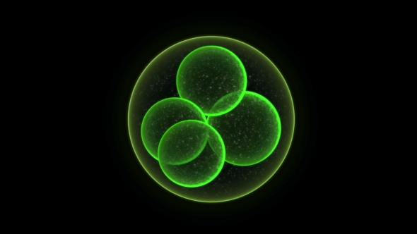 Medical Visuality. Micro Green Cell Able To Loop Seamless alt