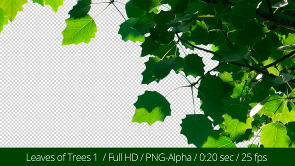 Leaves of Trees 1 alt