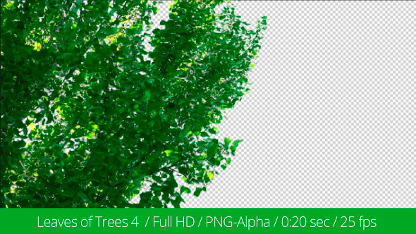 Leaves of Trees 4 alt