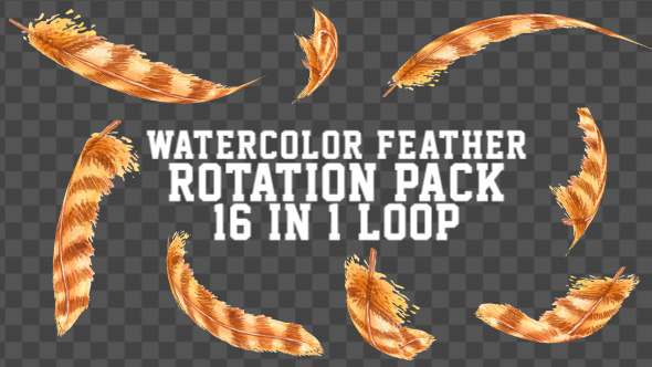 Watercolor Feather Rotation Pack V3 16 in 1
