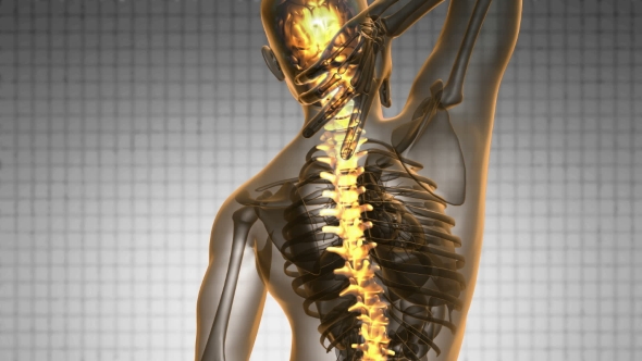 Backache in Back Bones alt