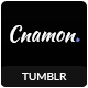 Cinnamon | Casual Grid Tumblr Theme - ThemeForest Item for Sale