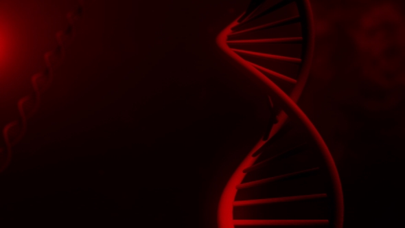 Red DNA Strand  - 3D  alt