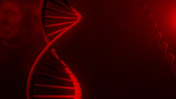 Red DNA Strand  - 3D alt