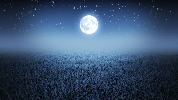 Mystic Night Flight Over Grass alt