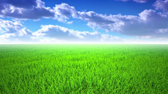 Flight Over Grass, Cloudscape